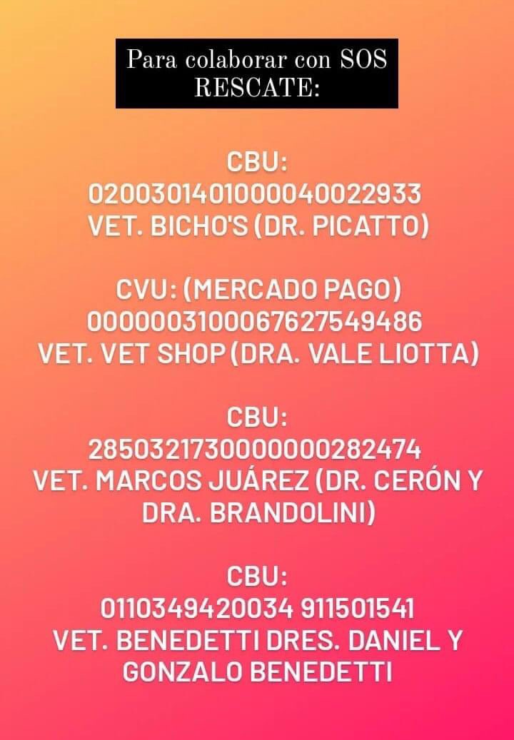 Ayudemos a ayudar. Hay miles de animales q nos necesitan y gracias a las chicas que dan todo por ellos salen adelante. Es necesario la ayuda para poder seguir con los rescates, no hay monto mínimo, lo que sea es un montón! ❤️