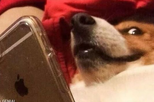 elcosodelapizza's tweet photo. Cuando le mandas un meme a alguien que esta en la misma habitación y esperas su reacción https://t.co/Ynh09XKtnU
