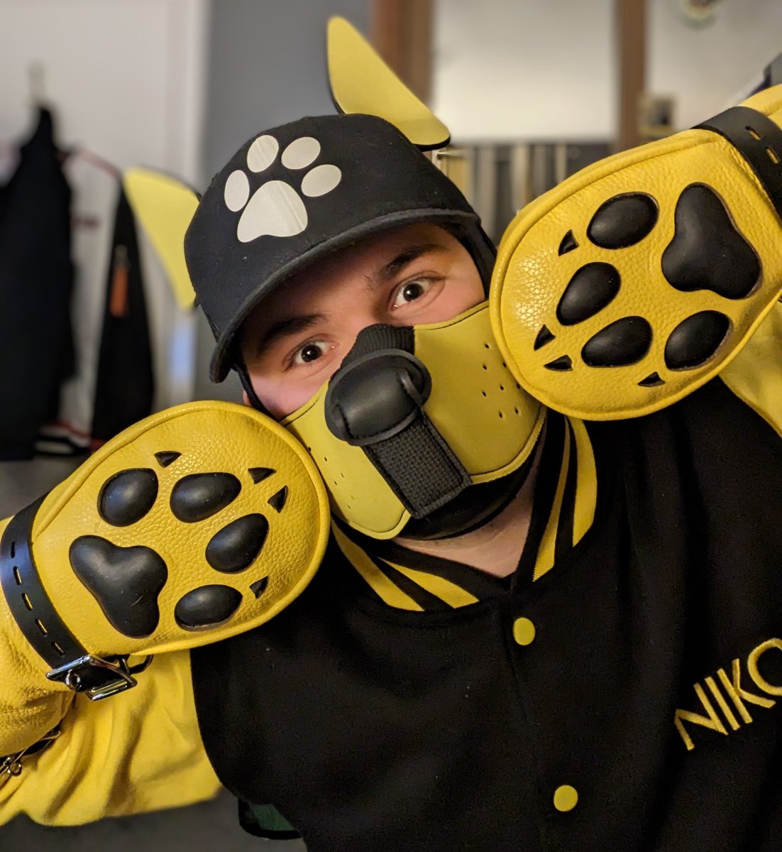 Pupper_Niko(Scottish pup, pls hypnotise me 🐶) tweet media