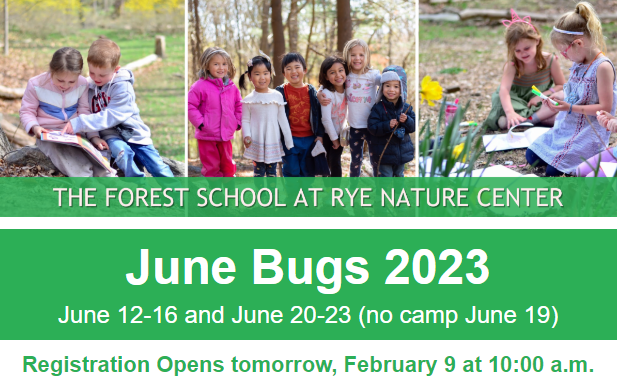 RyeNatureCenter's tweet photo. Don't miss your chance to get a space in June Bugs 2023! Registration begins tomorrow, February 9 at 10:00 am. https://t.co/sW9uI1U8v9 https://t.co/aLpR69o2M1