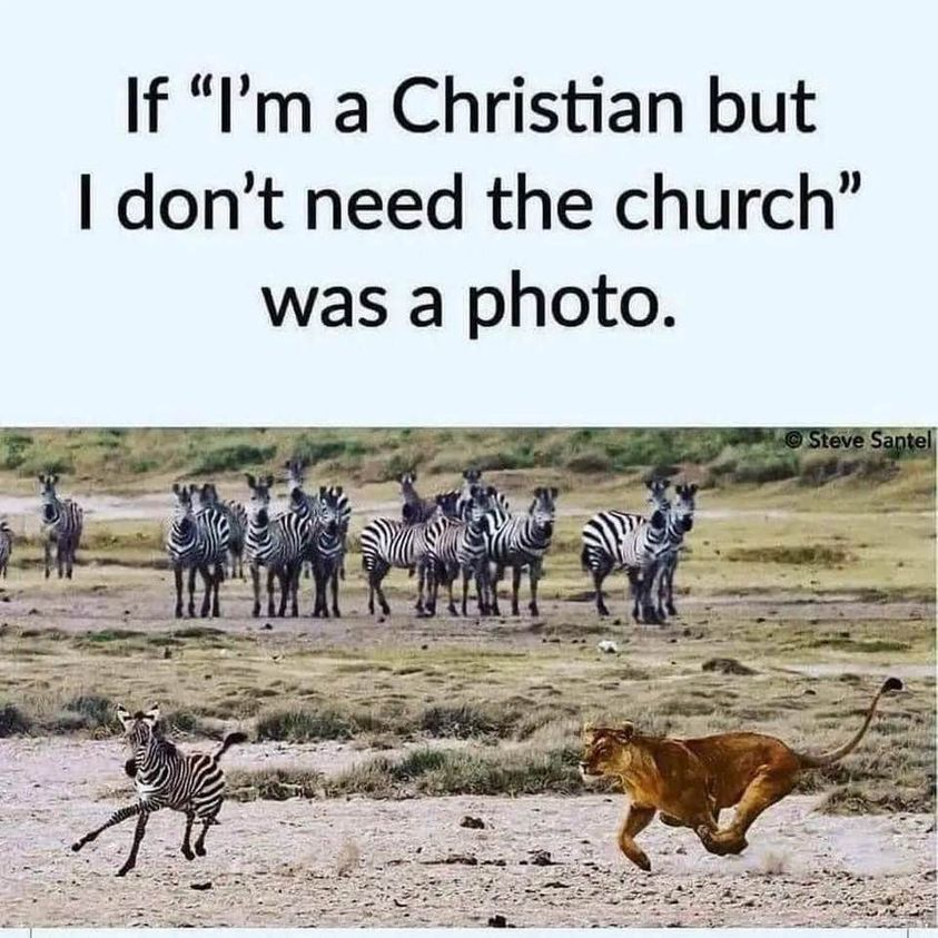 dale l hicks tweet media