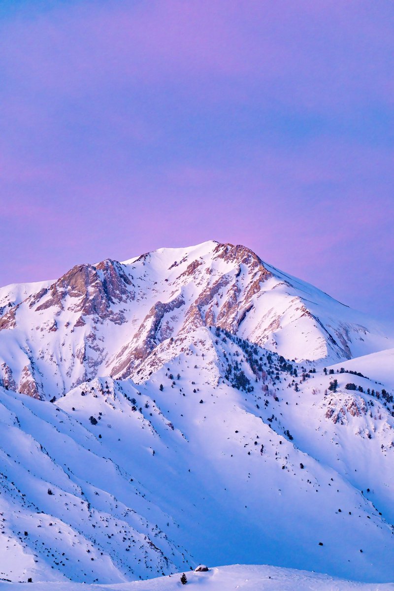 samjezak's tweet photo. Morning light bathes the Eastern Sierra with a shifting spectrum of colors. Mountain minimalism. https://t.co/0diihmfsPr
