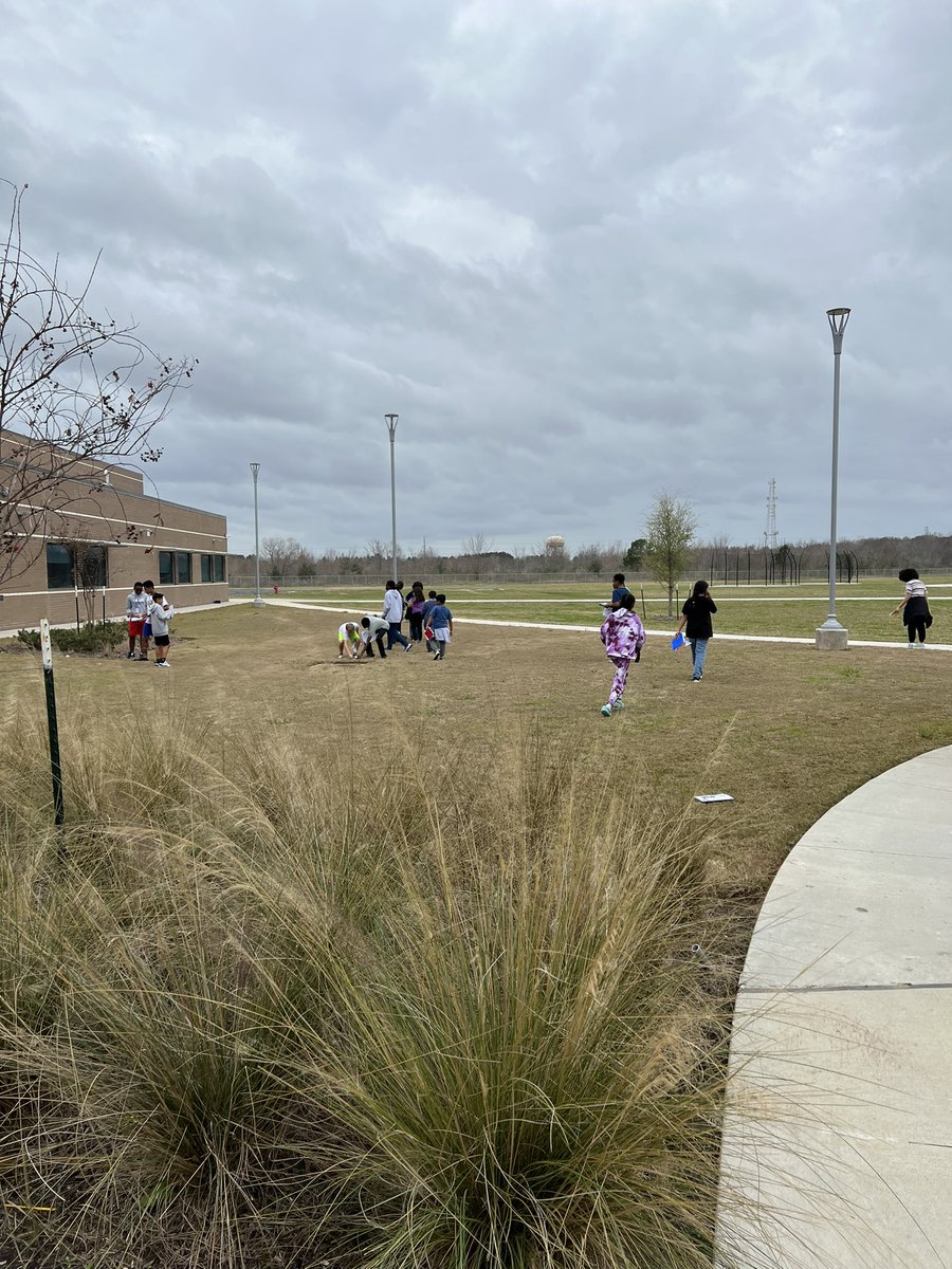 MrsPotvinSCE's tweet image. Yesterday, 6th grade scientists explored the living and nonliving factors in the @HaskettJH environment! We had incredible discussions about biotic and abiotic, and the levels of organization in our environment @Coach_BHerzog @Mrs_Pamela_Long @PrincipalPaz #wearehaskett