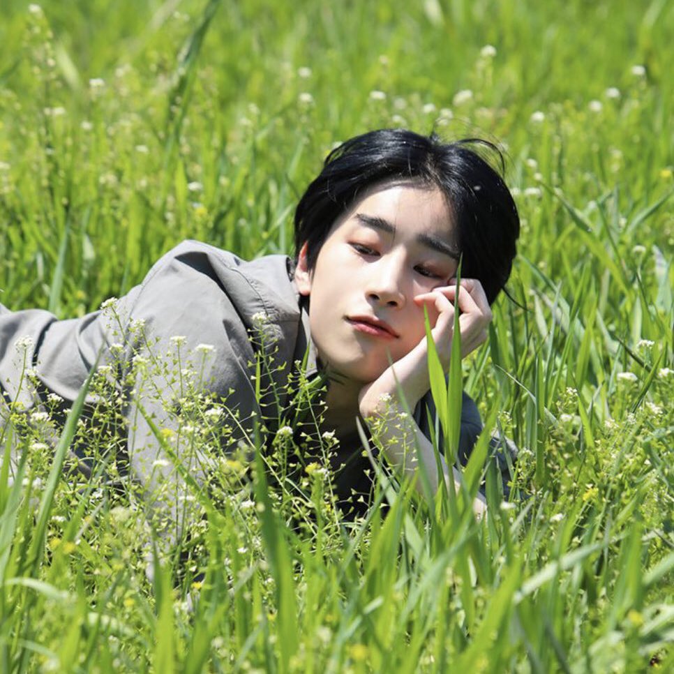 🌷                  🌷                  🌷