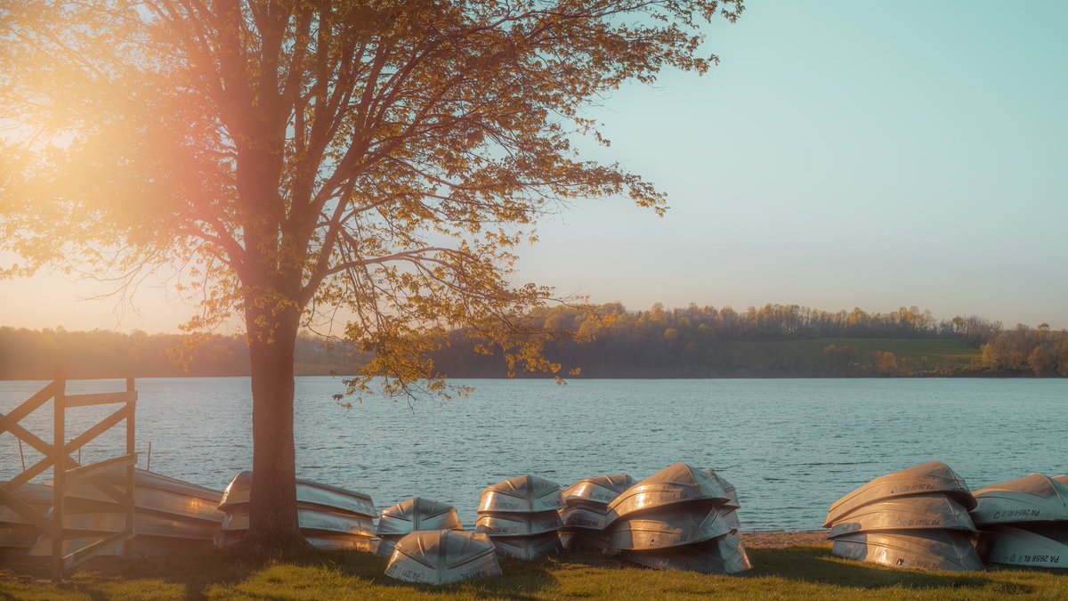 Kyler Steele tweet media