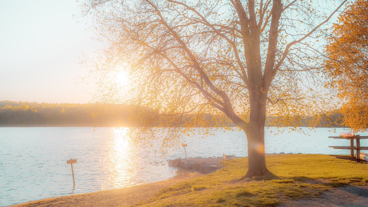 Kyler Steele tweet media