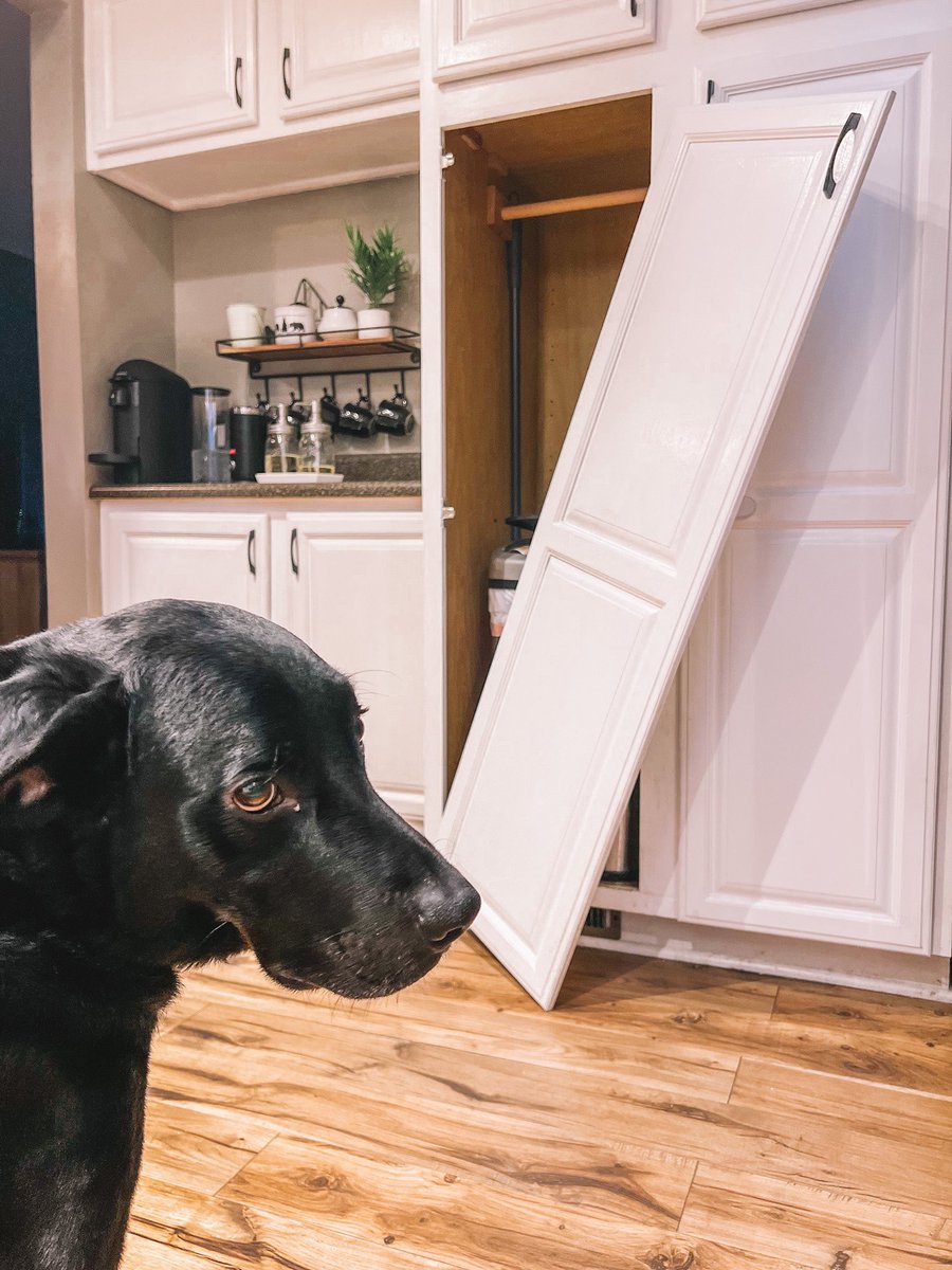 AMPitrelli's tweet photo. I love having toddlers — I… I… I mean dogs. https://t.co/7ZPEbZaoAb