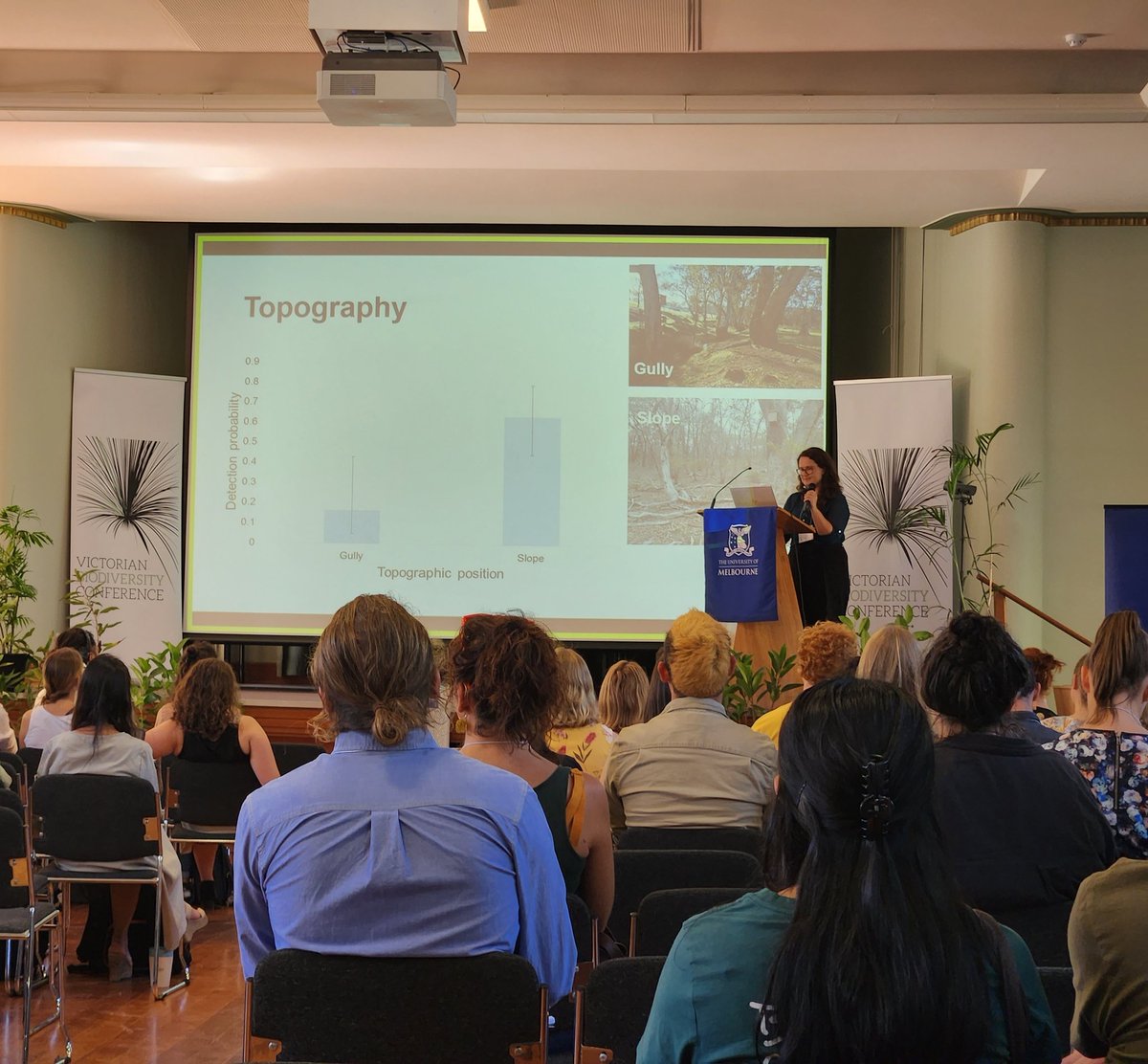pelentini's tweet photo. Fabulous work by @jesslwtn showing that nest boxes on slopes, and attached to rough-barked eucalypts, are more likely to be occupied by brush-tailed phascogales #VicBioCon23 https://t.co/aQyqUEpvf8