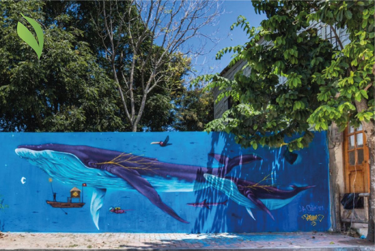 FundacionFidal's tweet photo. 🍃#VerdEcuador | "La Colmena" es un proyecto comunitario que nace con el objetivo de lograr una transformación social a través del arte. Se realizaron 25 murales esparcidos en Olón que conformaron un recorrido para la galería al aire libre.

📲 https://t.co/G9YB9A8ZoY https://t.co/hXwKREGUV2