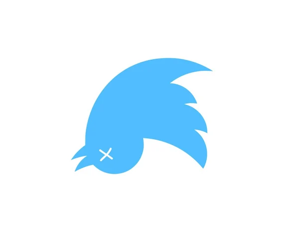 Cheryl Z tweet media