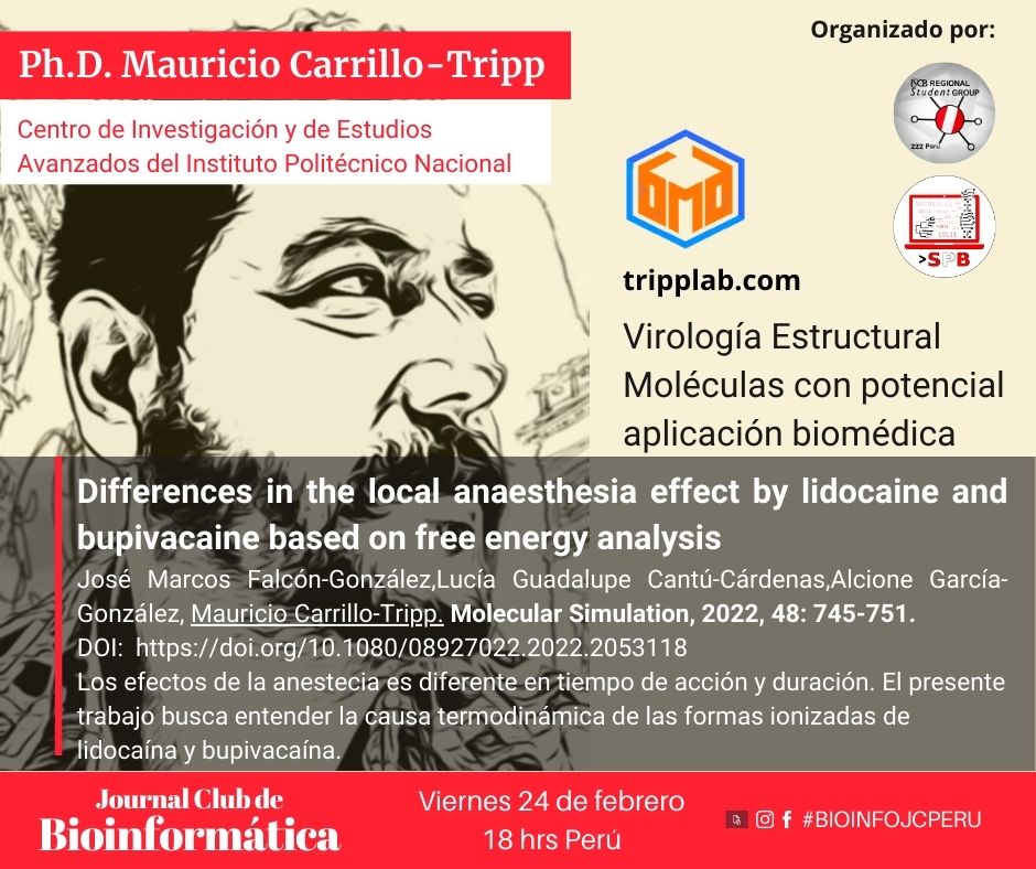 Bioinfo_Peru's tweet image. Querida SPB 💫

El Journal Club está de vuelta 🥳 
Bienvenidos a la 1° sesión dedicada a &quot;Drug discovery&quot;✨

💻 Artículo científico seleccionado:
&quot;Differences in the local anesthesia effect by lidocaine and bupivacaine based on free energy analysis&quot; 

1/7