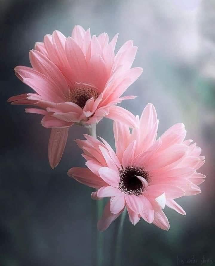 #loyal #AMY🅰️
<a href="/Alaayous3/">alaa amy</a>
<a href="/y11j3/">ابو محمد</a>
@foz3x3
<a href="/_HZTT/">عيون المها 🇮🇶</a>
@zari__h
@1Nzia
@saf__er
<a href="/mmdjbl9/">سفير الاشواق</a>
@3b__r5
@fr__z5
<a href="/03l__/">‏˼ ‏᷂نايا ᷂الشھري ˹ 𓂃. 𝄞</a>
<a href="/lj0fj/">الشمس الدافئة🌞</a> 
<a href="/9GGGe/">🐣🍒💜🍒🐣</a> 
<a href="/tota_a_g/">أمۭــــــــڷ اڷــَحـــڀـــــــــاة</a>
@Tabi_09
<a href="/JJ4HH/">🔥ⓢⓐⓕⓘⓡ⚙️</a>
@sm__k1
@Ozlerntr
<a href="/2ONE_e/">2⃢💋ne</a>
<a href="/LoeNoor/">♡𝒜ℒ𝒢ℰℛℐ𝒜 ♡</a>
@zari__h
<a href="/ja__k1/">Jaki Aikio</a>
<a href="/loly_aly_1/">حل واجبات حل اختبارات بحوث تخرج حل اسايمنت بروجكت</a>
<a href="/Chuchaji/">🐤🐤چوچا جی 🐤🐤</a>
@S__sv1
@sfy__r1
<a href="/jwdy_34/">جودي🇸🇦</a>
<a href="/SF88R/">⚙️🔥</a>
@Rubaab66
@YM786YM