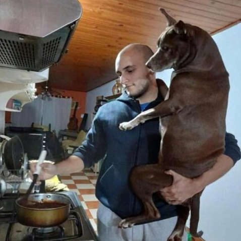 elcosodelapizza's tweet photo. Yo: Odio los padres que malcrían a sus hijos
Yo: https://t.co/Tfnpn37n3U