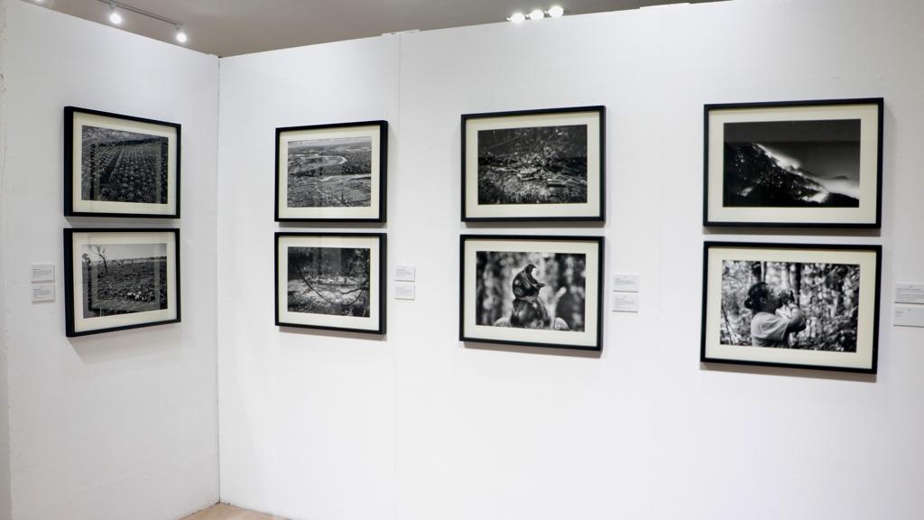 coneculta's tweet photo. La Directora General del #Coneculta, 
@matza_maranto inauguró la exposición de la obra fotográfica
"El desierto de la Soledad: Tiempos, en una selva sin tiempo", del maestro Jorge Silva, en la Galería principal de la Casa de las Artes y las Culturas Corazón Borraz. https://t.co/XGNwJPaTaI