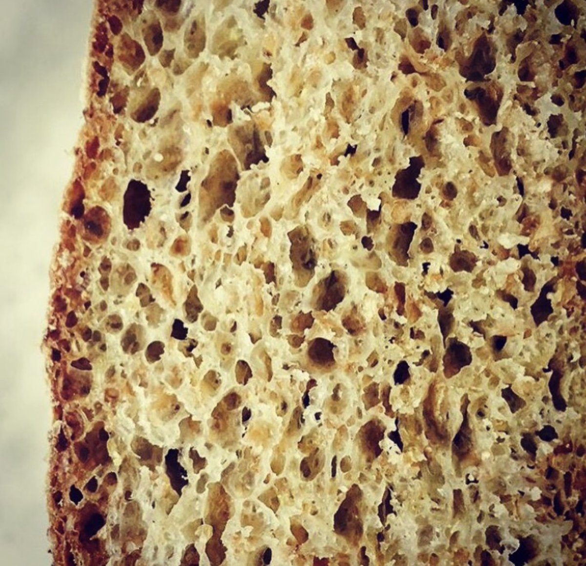 Gorseflower sourdough #homebaking #bread #sourdough #realbread #gorseflower #baking