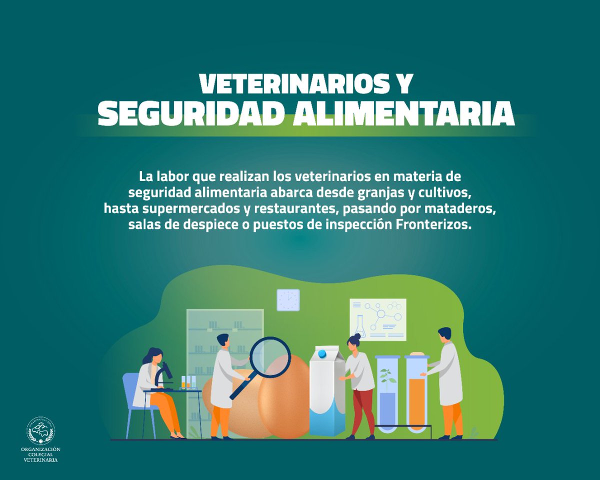 OCV España tweet media