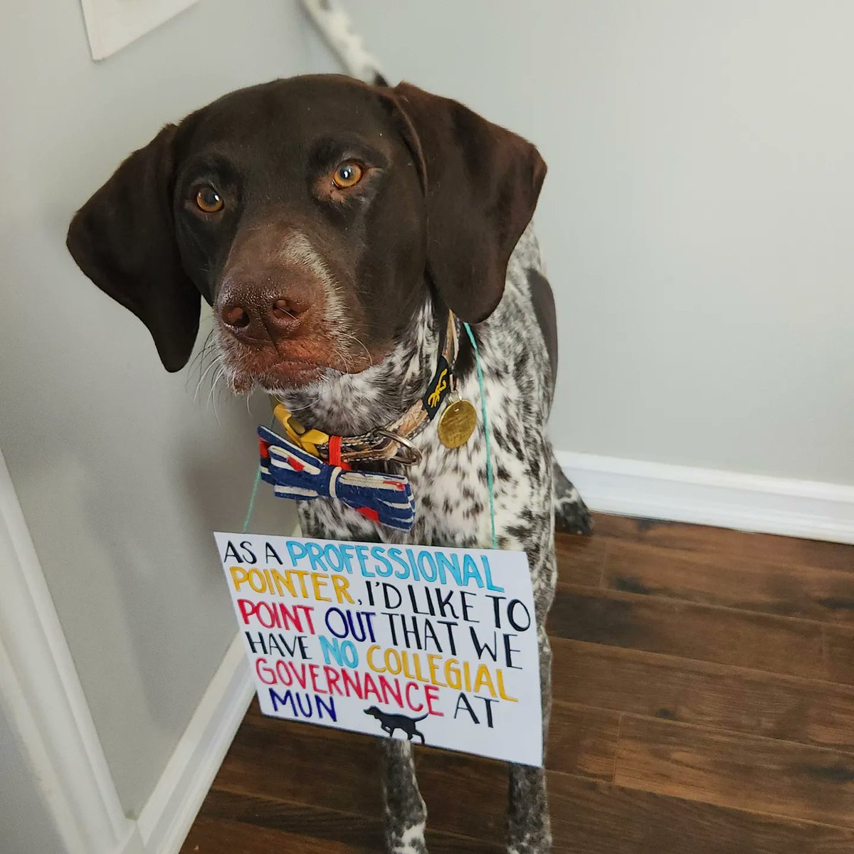 MarlieAMSmith's tweet photo. I made a Twitter account just to show support to my professors on strike! My two dogs, Astro and Toby, support a #FairDealAtMUN https://t.co/4hKSnn00nt