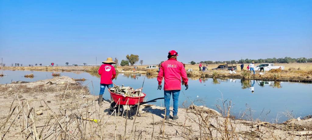 AmbienteEdomex's tweet photo. En el marco de la 2ª Jornada Nacional de Limpieza de Cuerpos de Agua, organizada por @EcopilMX, junto con la #CGCE de la #SAMGEM, asociaciones civiles, ciudadanía y el gobierno de #Tecámac, realizan la limpieza del cuerpo de agua en el #ParqueEstatalSierraHermosa. https://t.co/HEiMUrGJEY