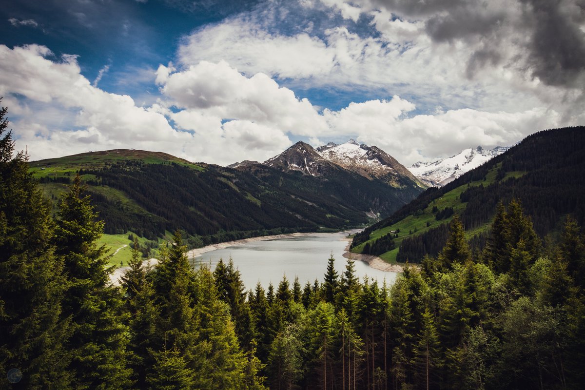 Mefi (Nádai Gábor) tweet media