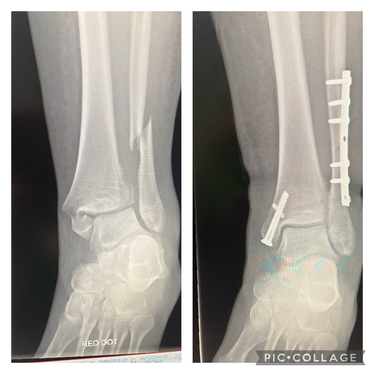 Jennifer Garnes tweet media