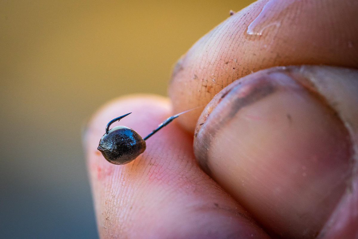 TackleGuru's tweet photo. SPECIAL DELIVERY: Ready tied natural perfection! Arriving in shops this weekend are the latest addition to our Ready Rigs in the shape of 8-inch MATCH SPECIALS. Sizes 20s to 0.09mm upto 10s to 0.15mm N-Gauge available! #hooks #prepmadeeasy #matchfishing #readyrigs #matchspecial https://t.co/VjoSJPmvCb