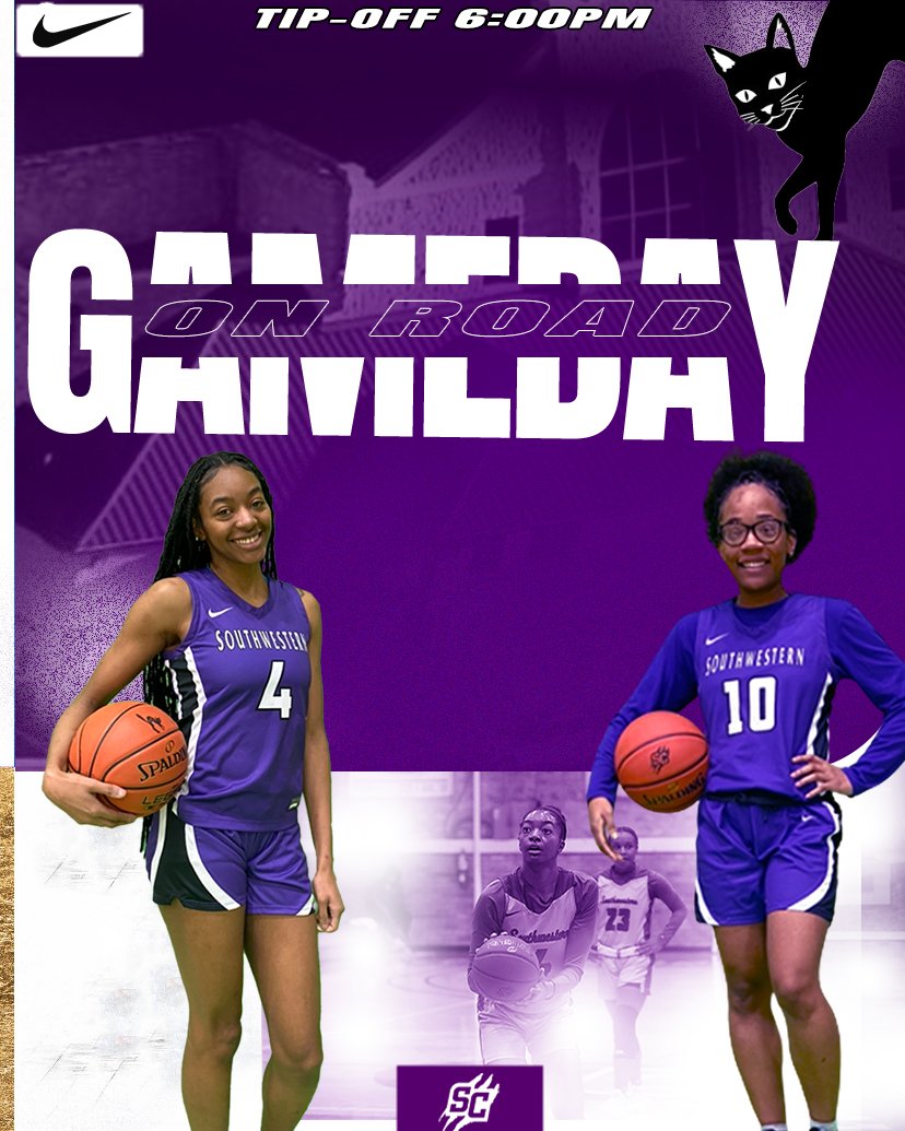 LadyBuilderBasketball tweet media