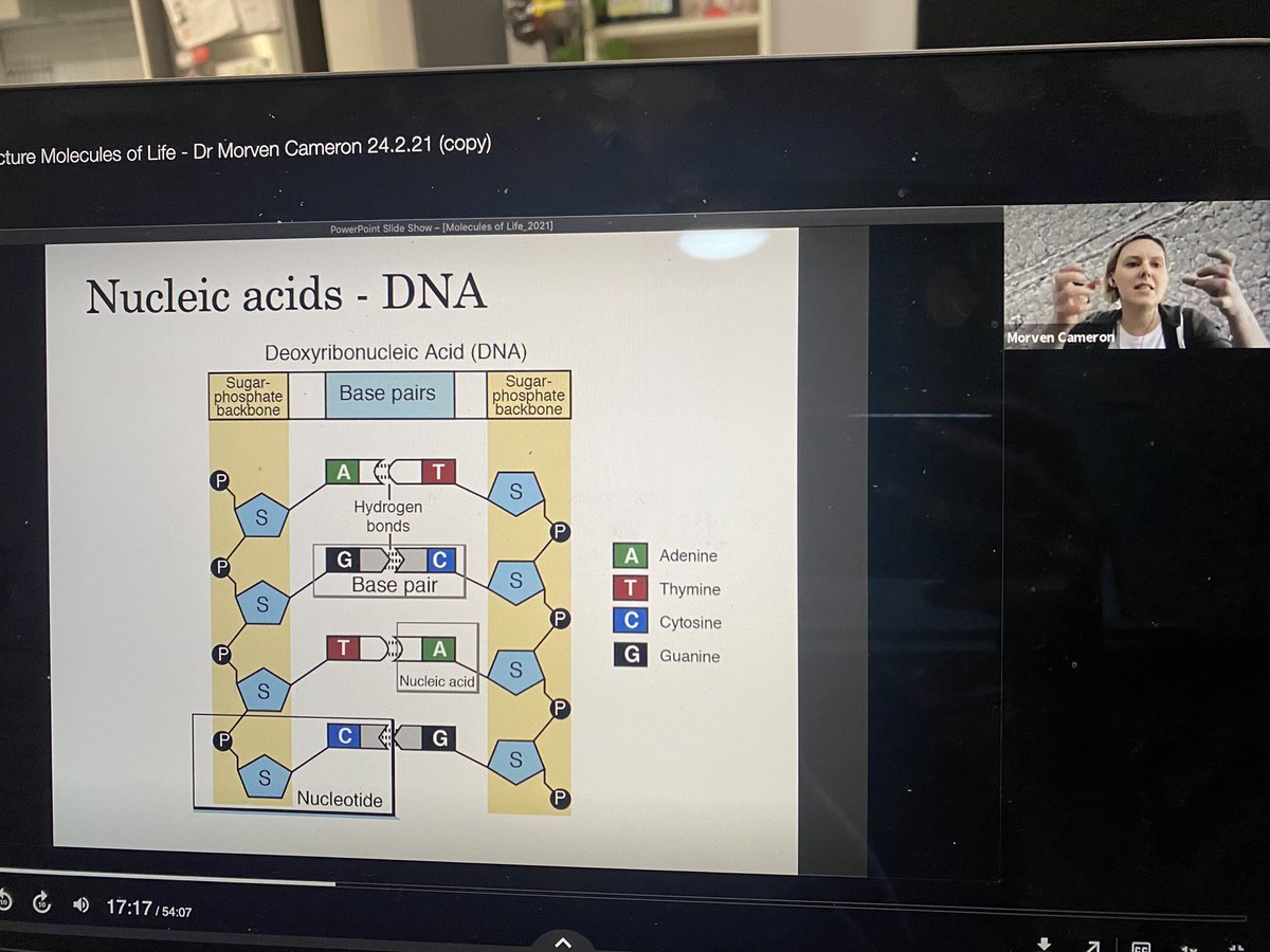 Dr. Morven Cameron tweet media