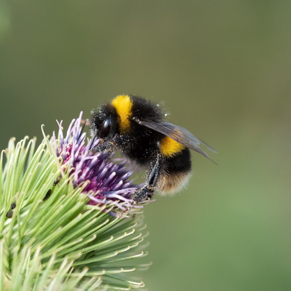 Tom Clarke 🇺🇦 🌻 tweet media