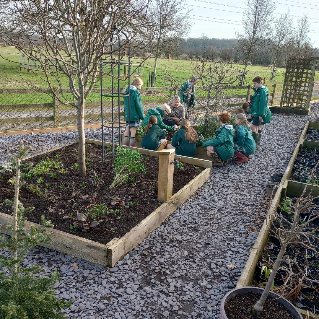 Ashbridge School on Twitter "Gardening has been proven to positively
