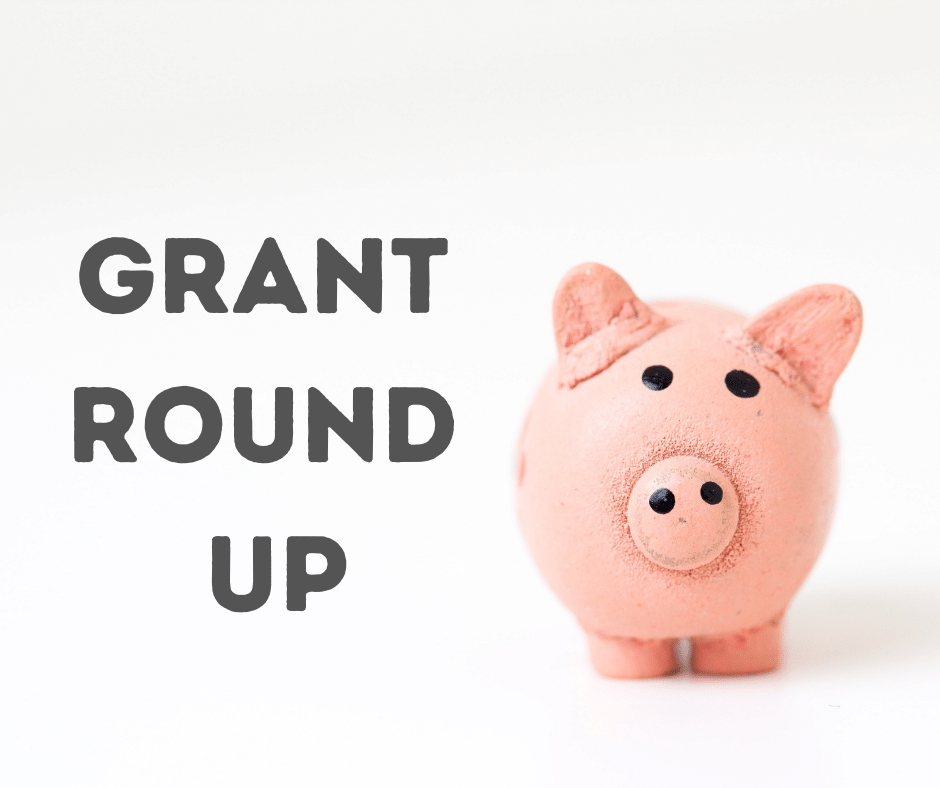 Don't miss this week's Grant Round Up with more than 100 new #federal #grants for your #nonprofit!

ow.ly/zTn450MNn3C