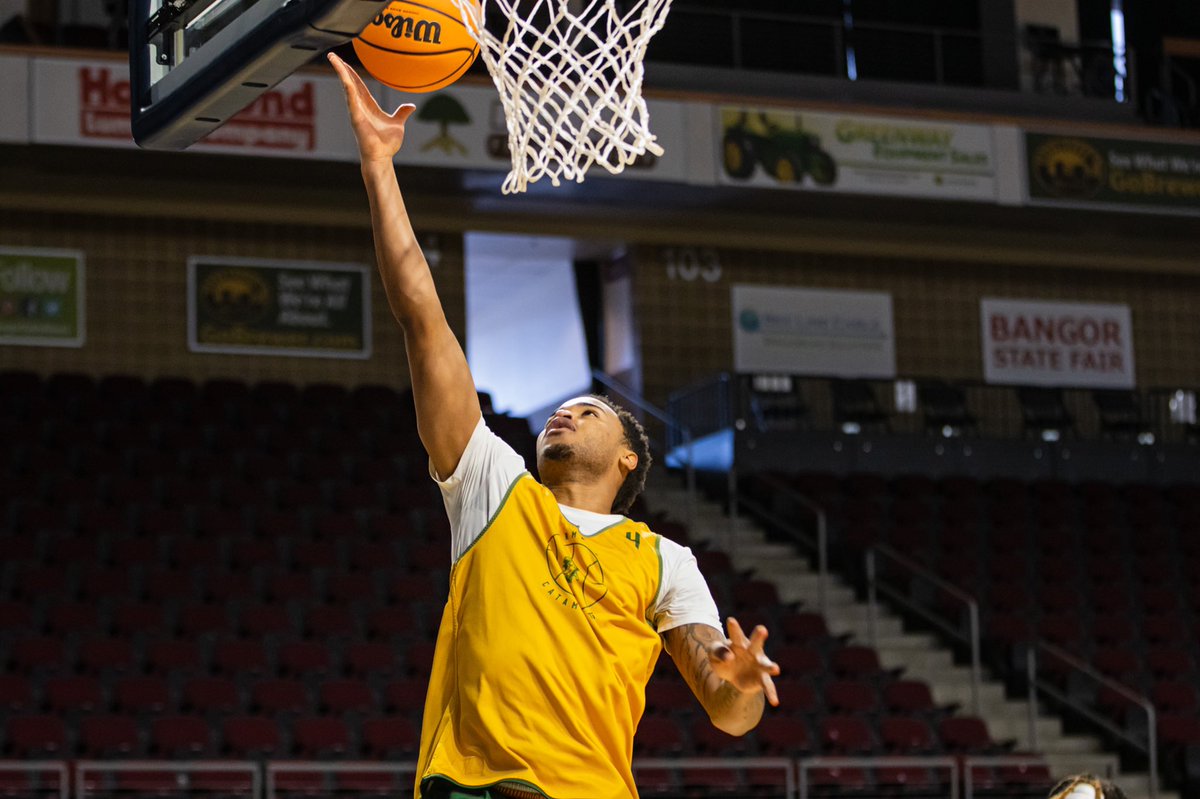 UVMmbb's tweet image. Let’s have a night 😼s