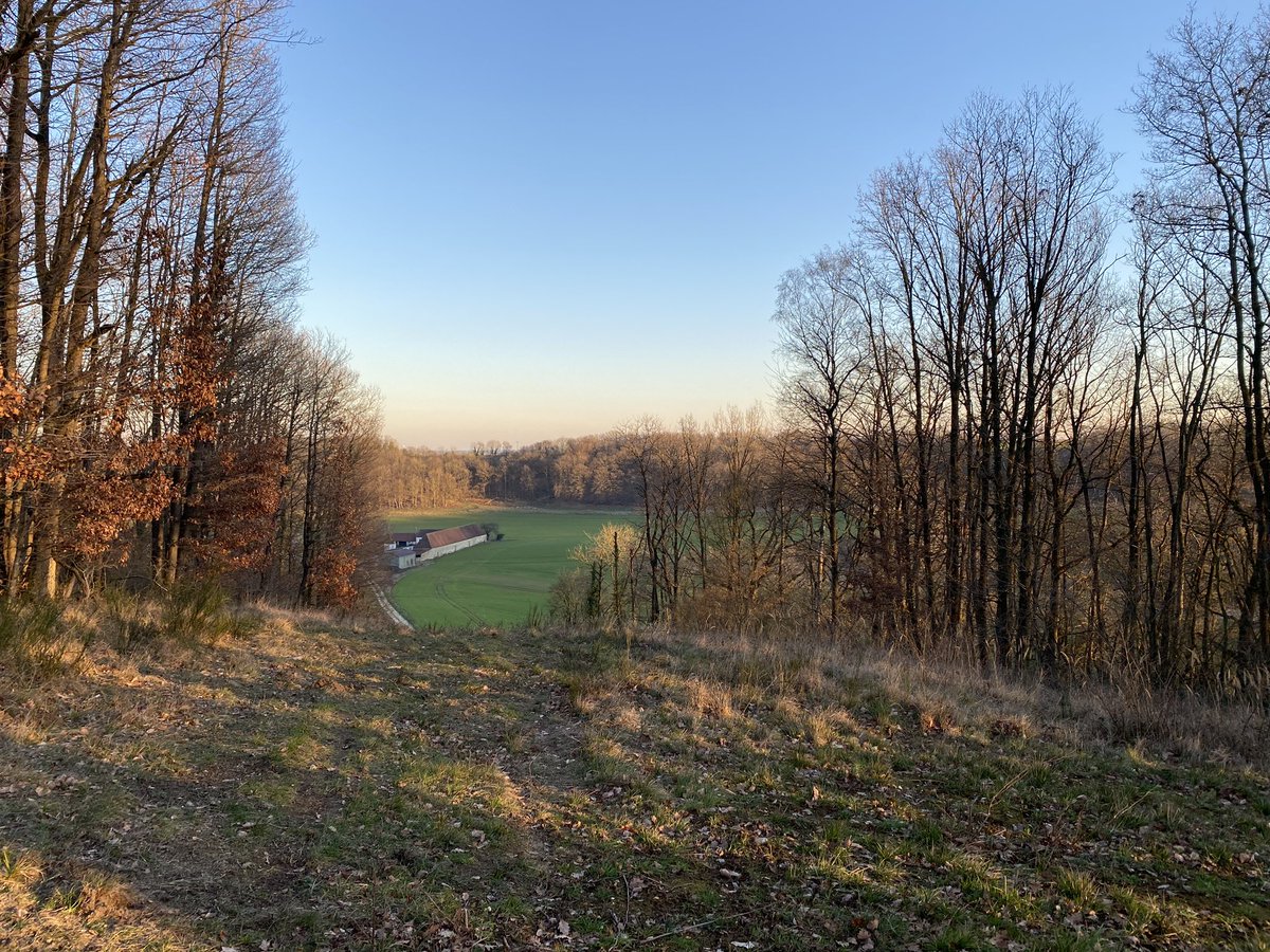 gmilleperdir's tweet photo. Après la matinée consacrée au forum des métiers au collège, une belle sortie trail en fin d’apm - des paysages magnifiques par ici 🙂 https://t.co/PFoJoPLJiH