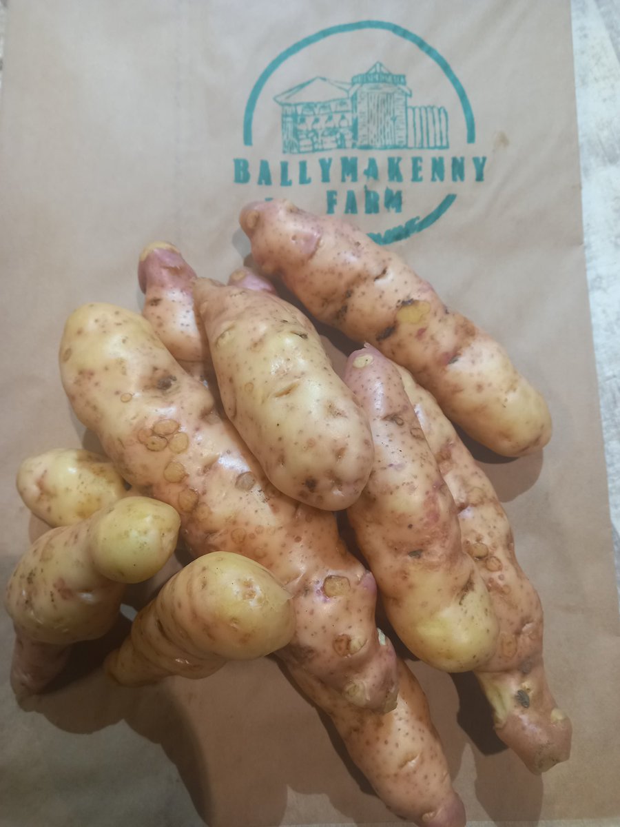 Ballymakenny Farm® tweet media