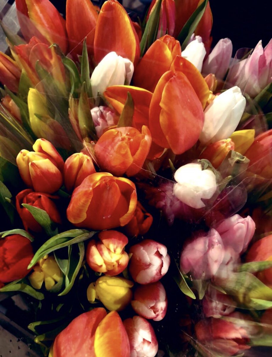 massumeh18's tweet image. Refer to this in case you have a #brainfail moment. You’re welcome 🤣😂