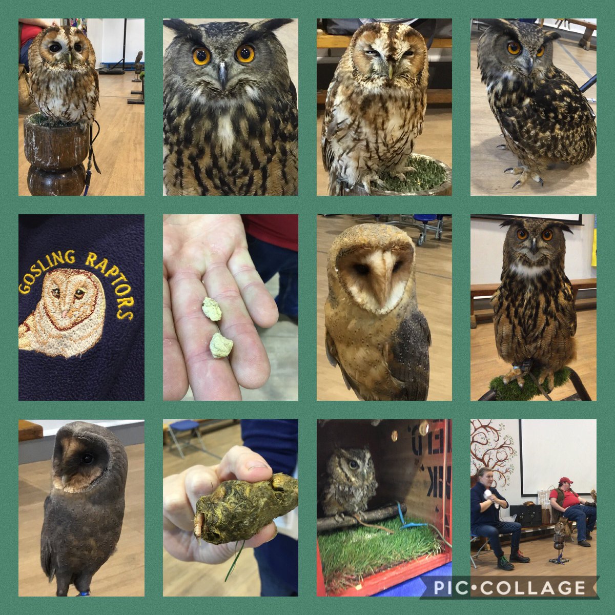 RTPS_Year1B tweet media