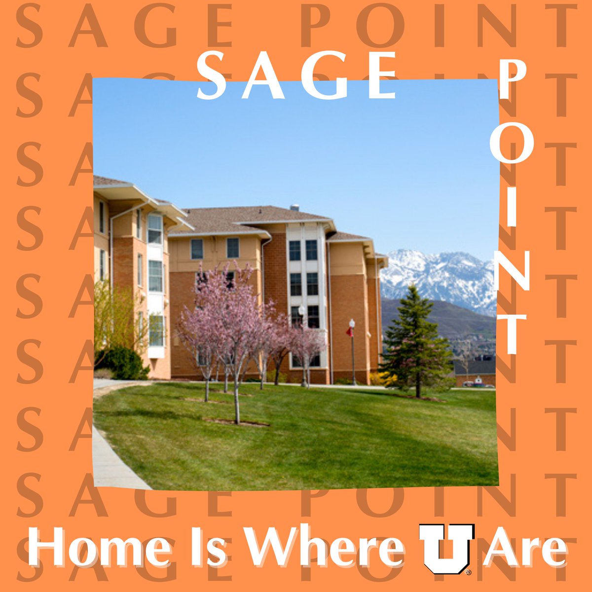 Sage Point features suite-style single, double, and triple rooms, including Living Learning and Themed Communities! 

Located on upper campus, Sage Point is a short walk from it all! Looking to explore more about Sage Point? Visit the link below! bit.ly/3jDI0yp