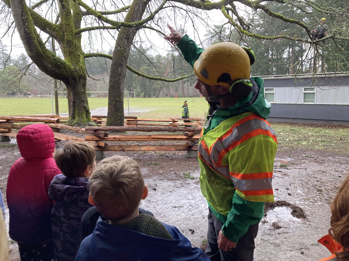 sd61schools's tweet photo. Protecting a special tree🌳Frank Hobbs Elementary students got a first-hand lesson in tree conservation from Bartlett Tree Experts, who trimmed the school’s bigleaf maple heritage tree. Students learned how arborists protect heritage trees while keeping them healthy. #sd61learn https://t.co/kvVpgOUh7q