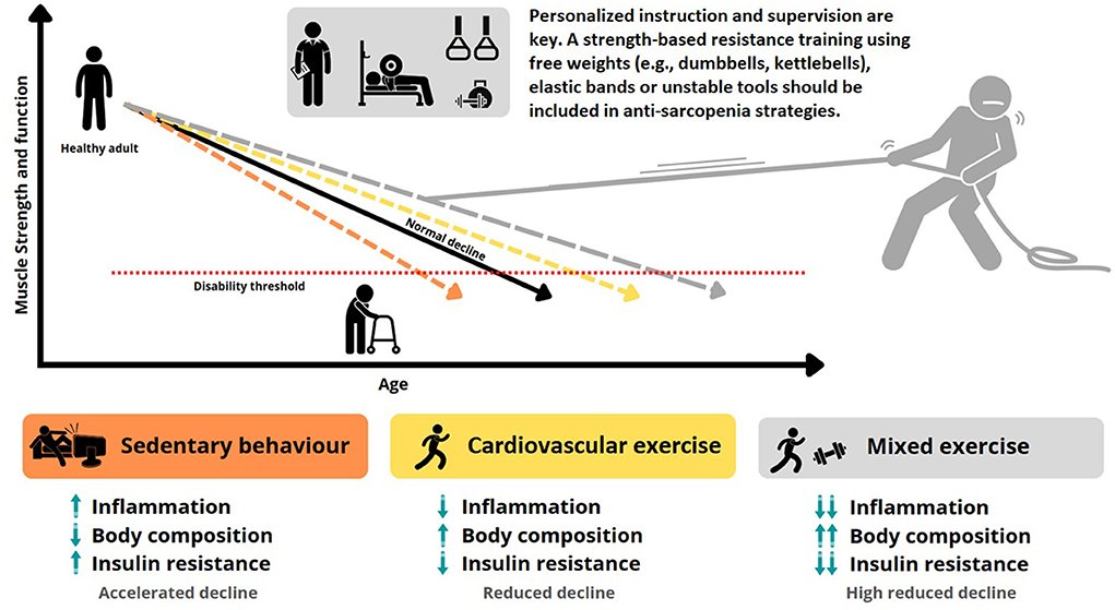 "It is clear that strength-based resistance training with or without other anti-sarcopenia strategies (...) represent a safe and effective methodology to avoid the progress of sarcopenia." Cannataro R, et al. <a href="/ETFISIO/">MUAFT_RS</a> #FisioTIC23 <a href="/MSterapiactiva/">Máster Ejercicio Terapéutico</a> frontiersin.org/articles/10.33…