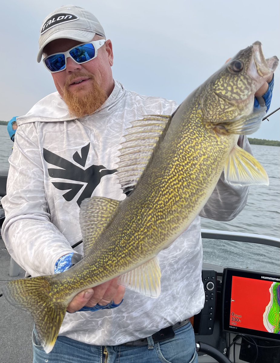 brobull's tweet photo. Spot Onβ Talon Downβ#WalleyeOn #walleyefifhing #fun @MinnKotaMotors #MinnkotaMotors, Bπ£π£ https://t.co/AifPwwUh5s