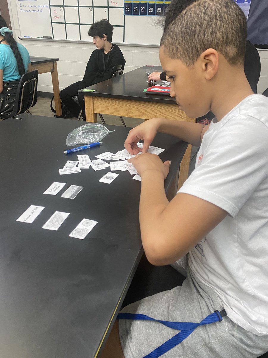 Jacqueline Heineman tweet media