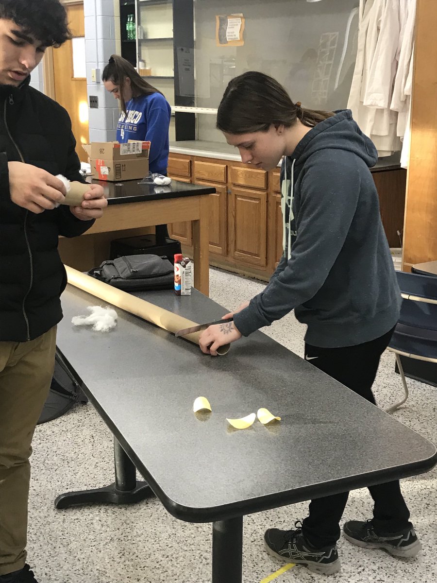 NicholsonTonya's tweet photo. Ship the chip!  Using physics concepts to safety send 1 Pringle chip. #willitbreak #physicscontest #boscoscience https://t.co/HAU0EkJRs9