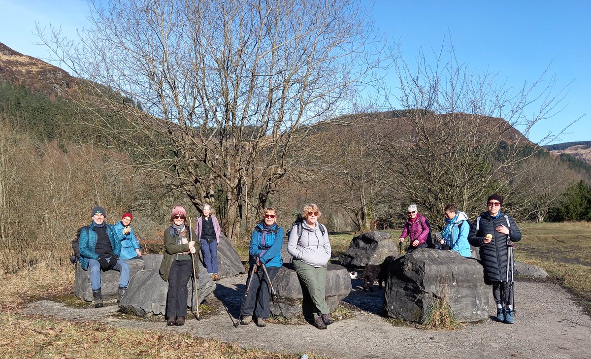 lee williams tweet media