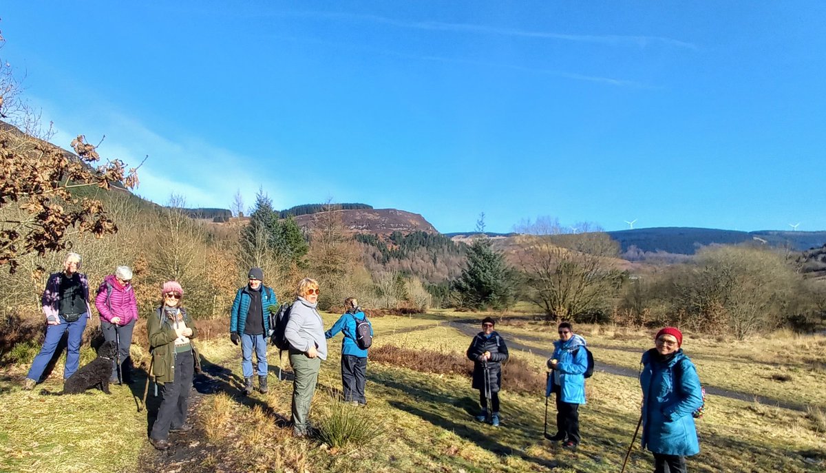 lee williams tweet media