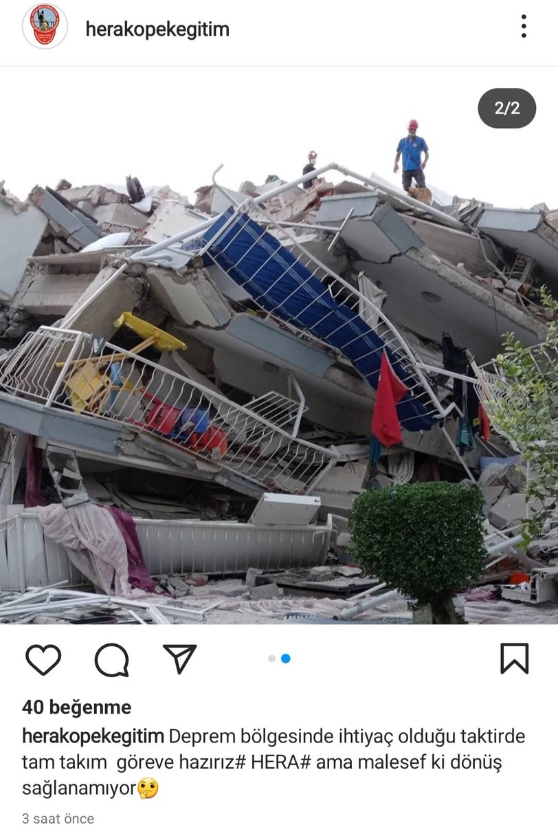 closedformula's tweet photo. Kopek eğitmeni ve arama-kurtarma icin yardıma hazırım demiş #Antakya #ADIYAMAN #Kahramanmaras @AFADBaskanlik @DepremDairesi @ahbap @haluklevent @BabalaTv #HalkTV https://t.co/NLMbwgz3ME
