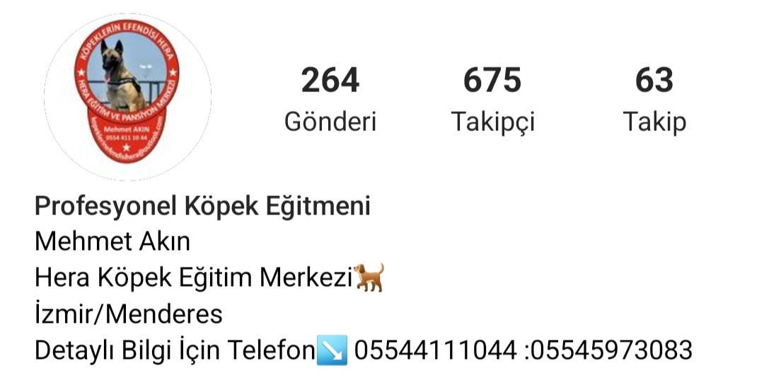 closedformula's tweet photo. Kopek eğitmeni ve arama-kurtarma icin yardıma hazırım demiş #Antakya #ADIYAMAN #Kahramanmaras @AFADBaskanlik @DepremDairesi @ahbap @haluklevent @BabalaTv #HalkTV https://t.co/NLMbwgz3ME