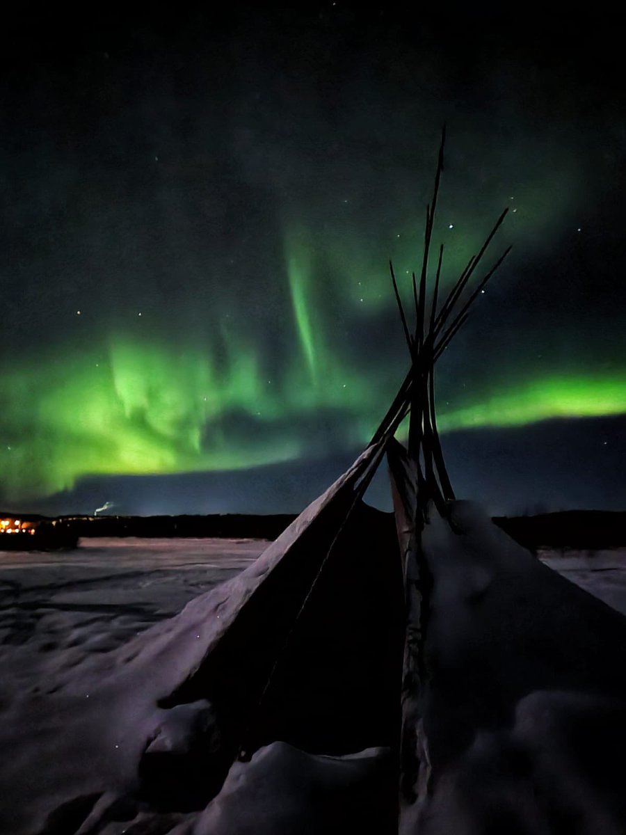 PolarQuest tweet media