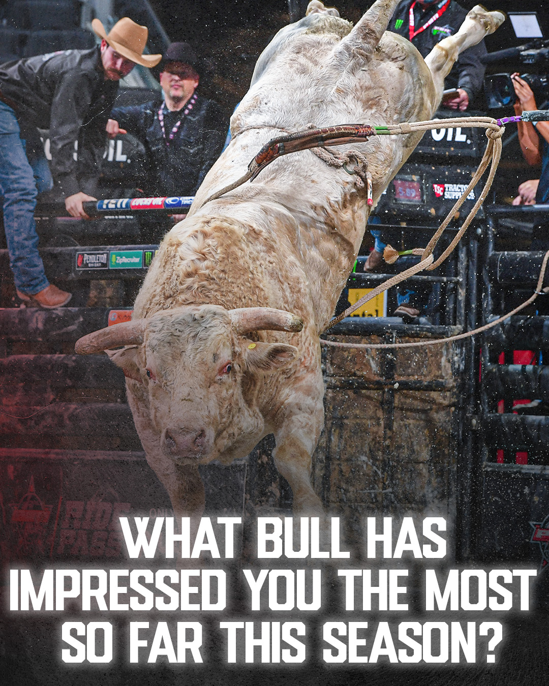 PBR on Twitter "A plethora of rank bulls have hit the scene this season. What bovine athlete
