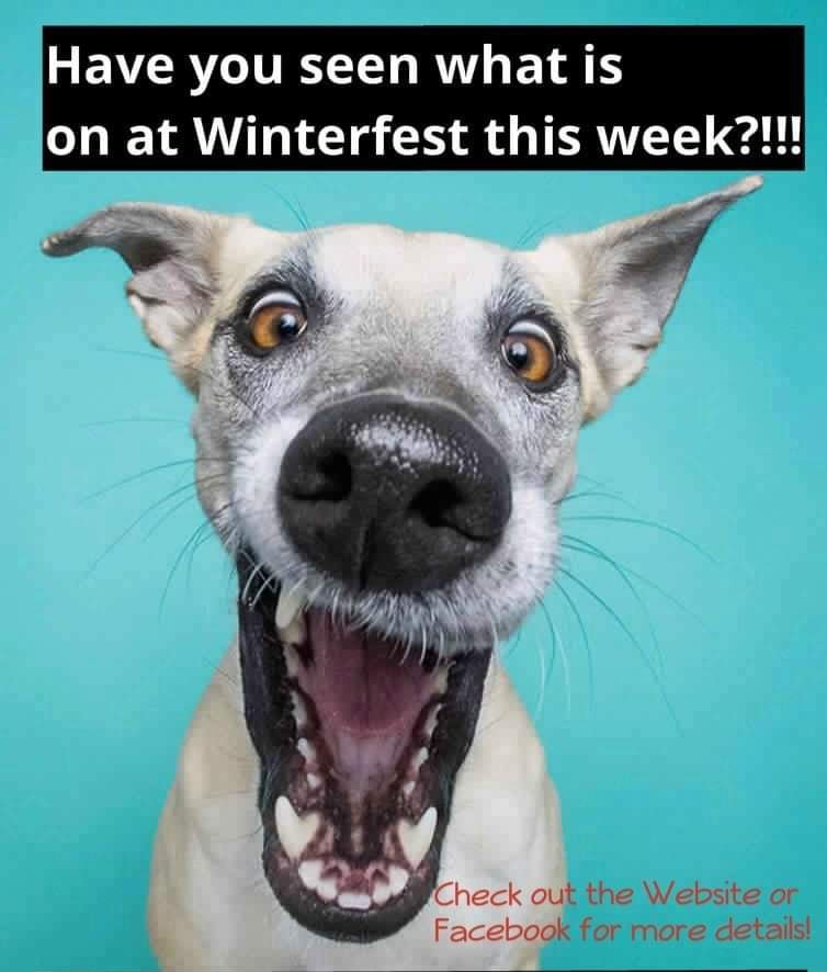 BseaWinterFest's tweet photo. https://t.co/kFWFvkvITV https://t.co/iJsF6rbYA3