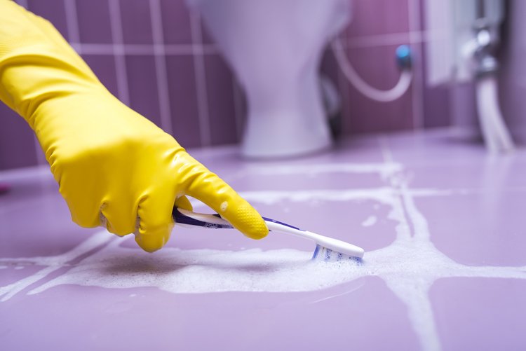 BramptonCleani1's tweet photo. Is your home in need of a deep cleaning service? Don't delay - Visit our website https://t.co/8bcia3vmqA and book your service online today.
#deepcleaing #cleaninghacks #cleaningservices #cleanhome #cleaning #cleaningservice #homecleaning #bramptoncleaningservices https://t.co/Dj1mUvsZFP