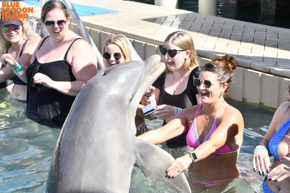Alli_Murphy99's tweet photo. I was not mentally prepared to meet a dolphin https://t.co/MoNsikgXil
